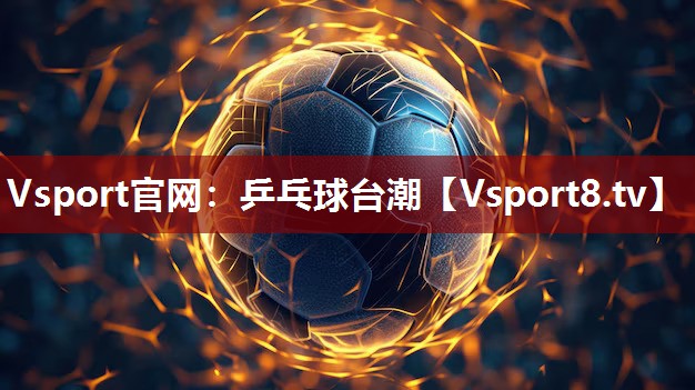 Vsport官网：乒乓球台潮