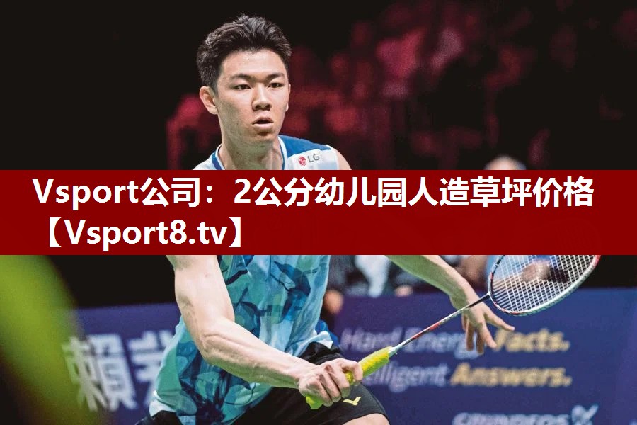 Vsport公司：2公分幼儿园人造草坪价格
