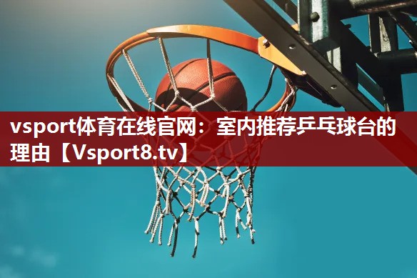 室内推荐乒乓球台的理由