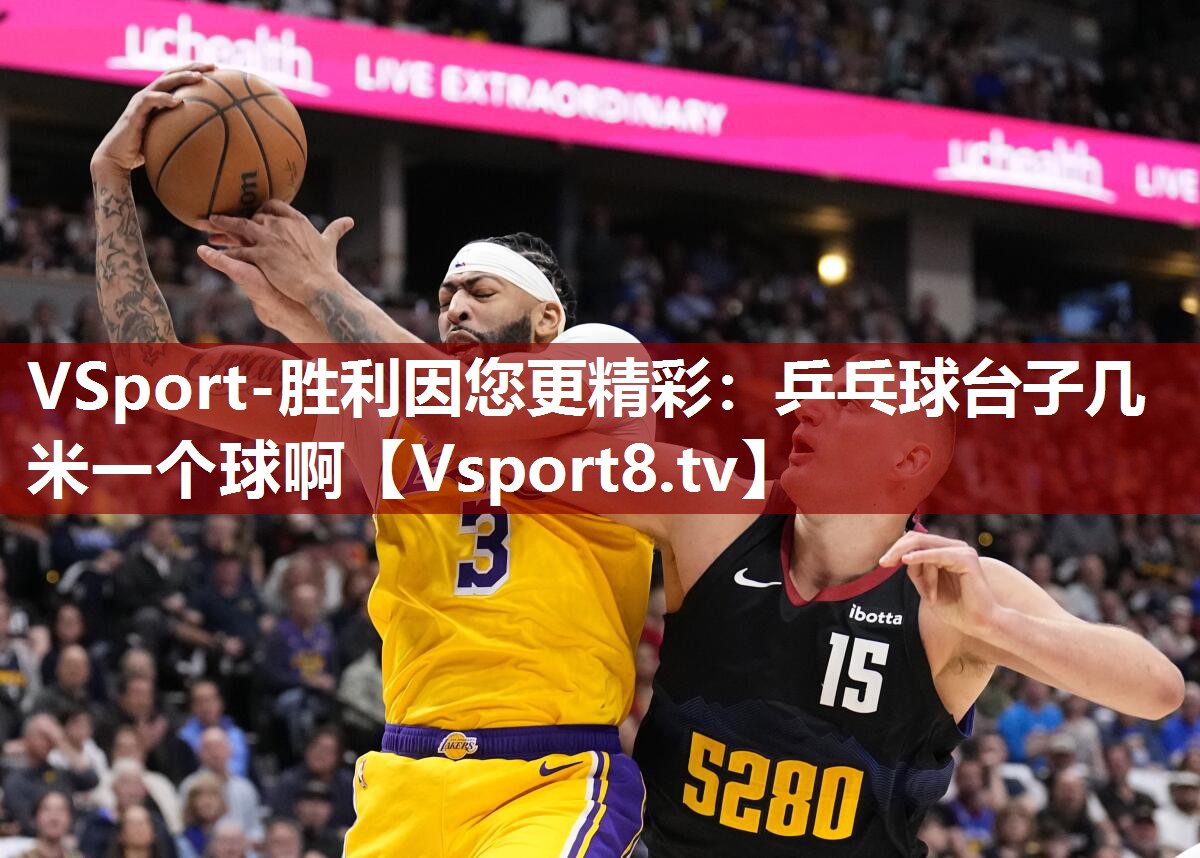 乒乓球台子几米一个球啊